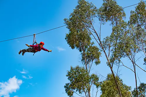 Valley view from the zipline